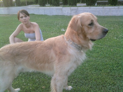 HOLA SOY ARO, AQUI ESTOY EN EL PARQUE CON MAMI, ESTARE MIRANDO ALGUNA PELOTA O TAL VEZ UN LINDO GATITO, JE JE JE